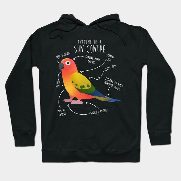 Sun Conure Parrot Anatomy Hoodie by Psitta